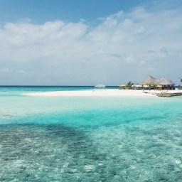 Diving into the Maldives