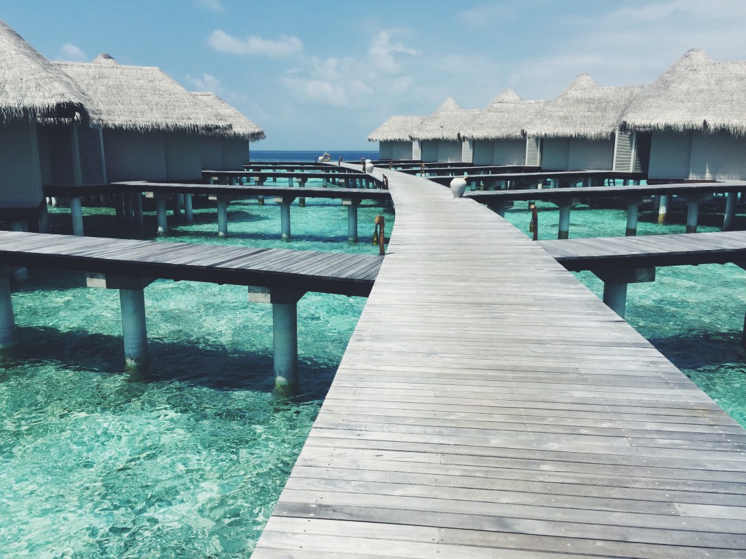 Processed with VSCO with f2 preset