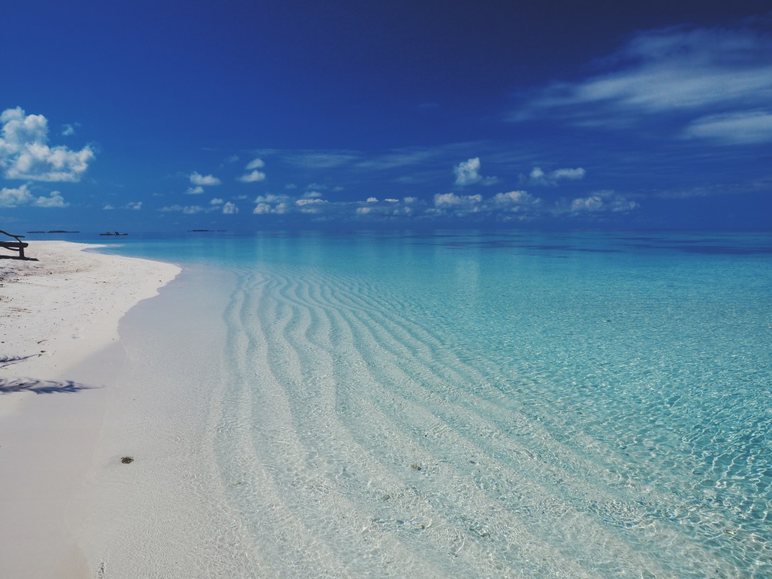 Processed with VSCO with f2 preset