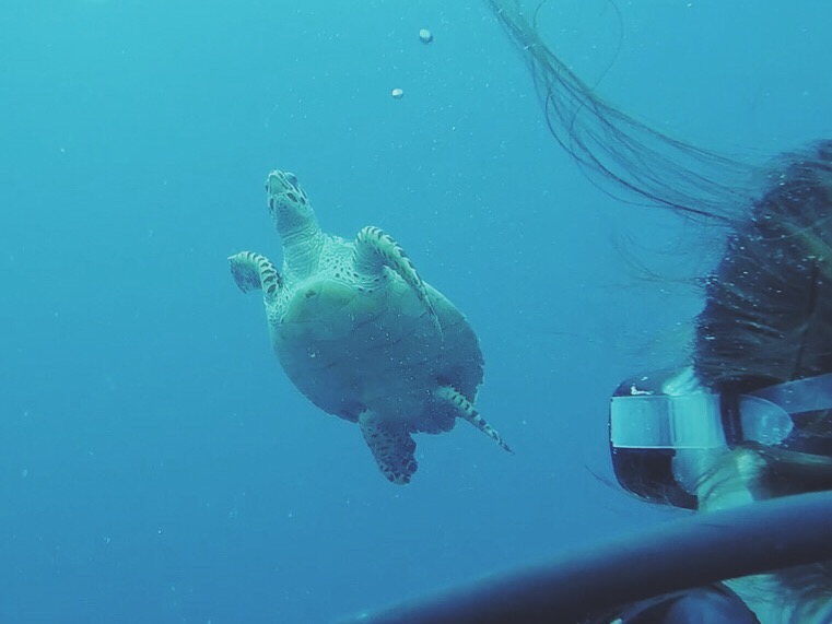 Processed with VSCO with f2 preset