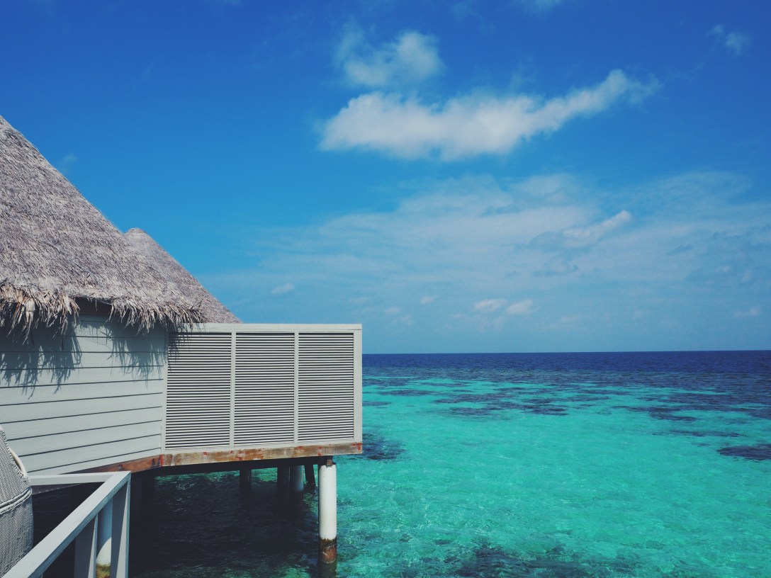 Processed with VSCO with f2 preset