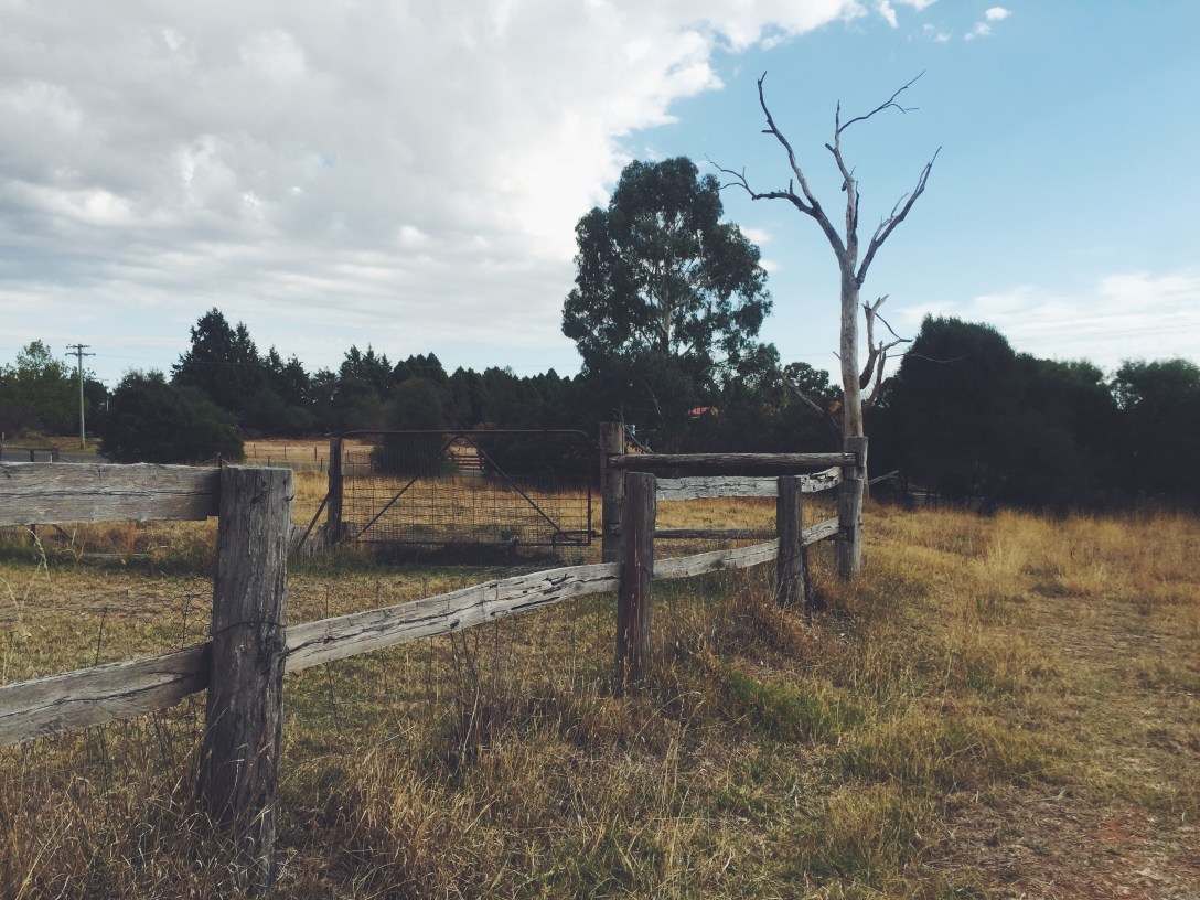 Processed with VSCO with f2 preset