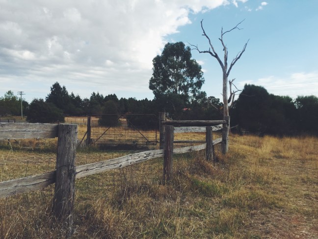 Processed with VSCO with f2 preset