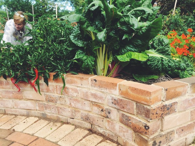 Processed with VSCO with f2 preset