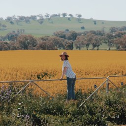 Oops, back in Orange again