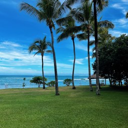 Falling in love with Fiji